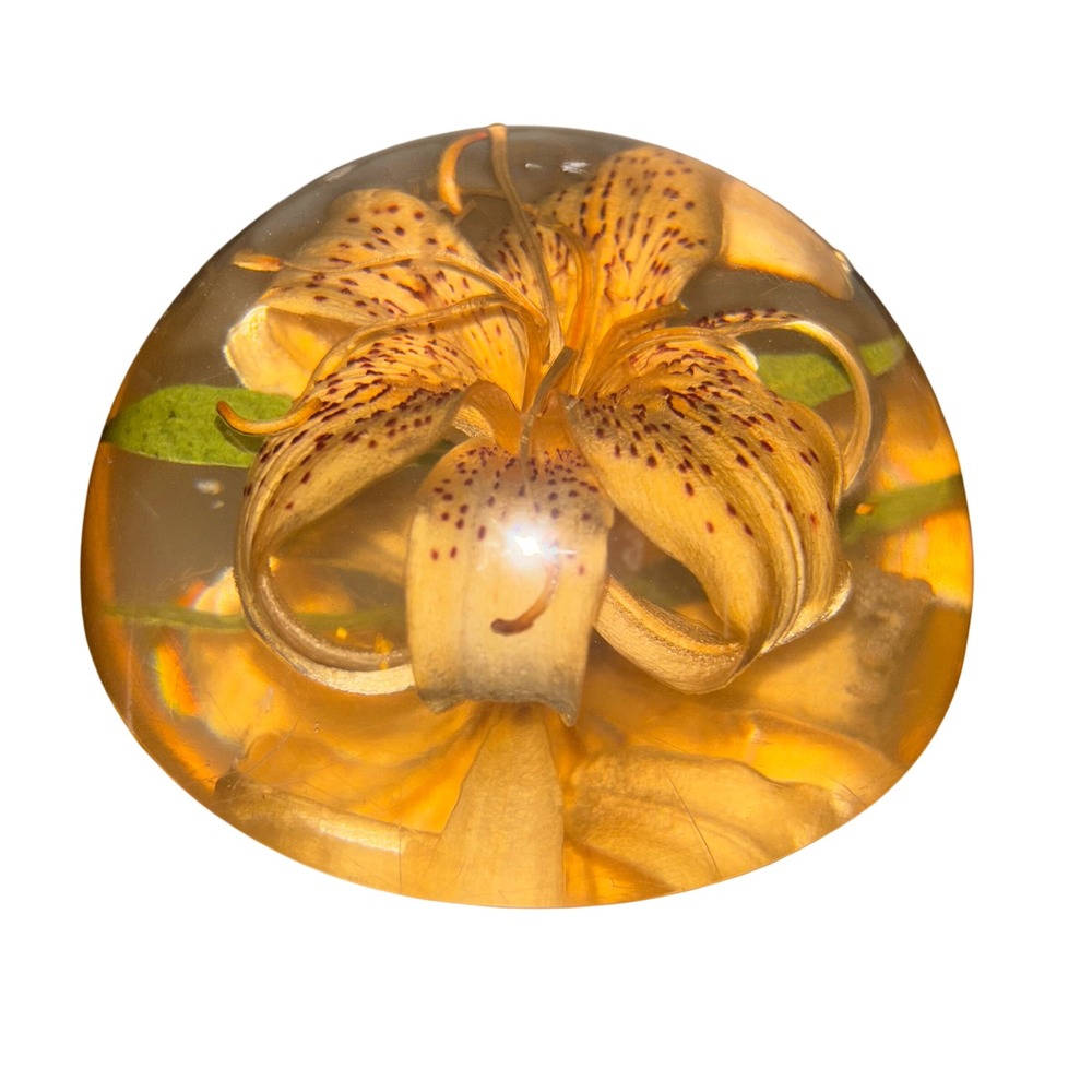 W Rolfe | Tiger Lily Flower‎ Paperweight | Acrylic/Lucite | Encased Floral Art